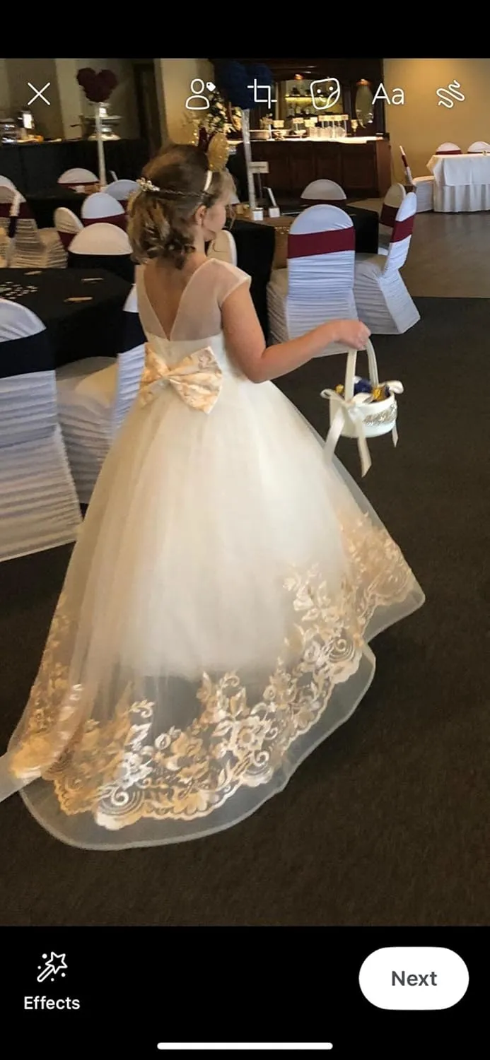 ABAO SISTER Elegant Flower Girl Dress for Wedding Kids Sleevelesss Lace Pageant Ball Gowns
