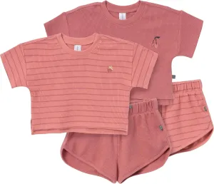 Modern Moments by Gerber Baby Girls 4-piece Set (2 Boxy Crop Tops & 2 Dolphin Shorts)